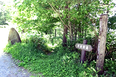 �씞�X��